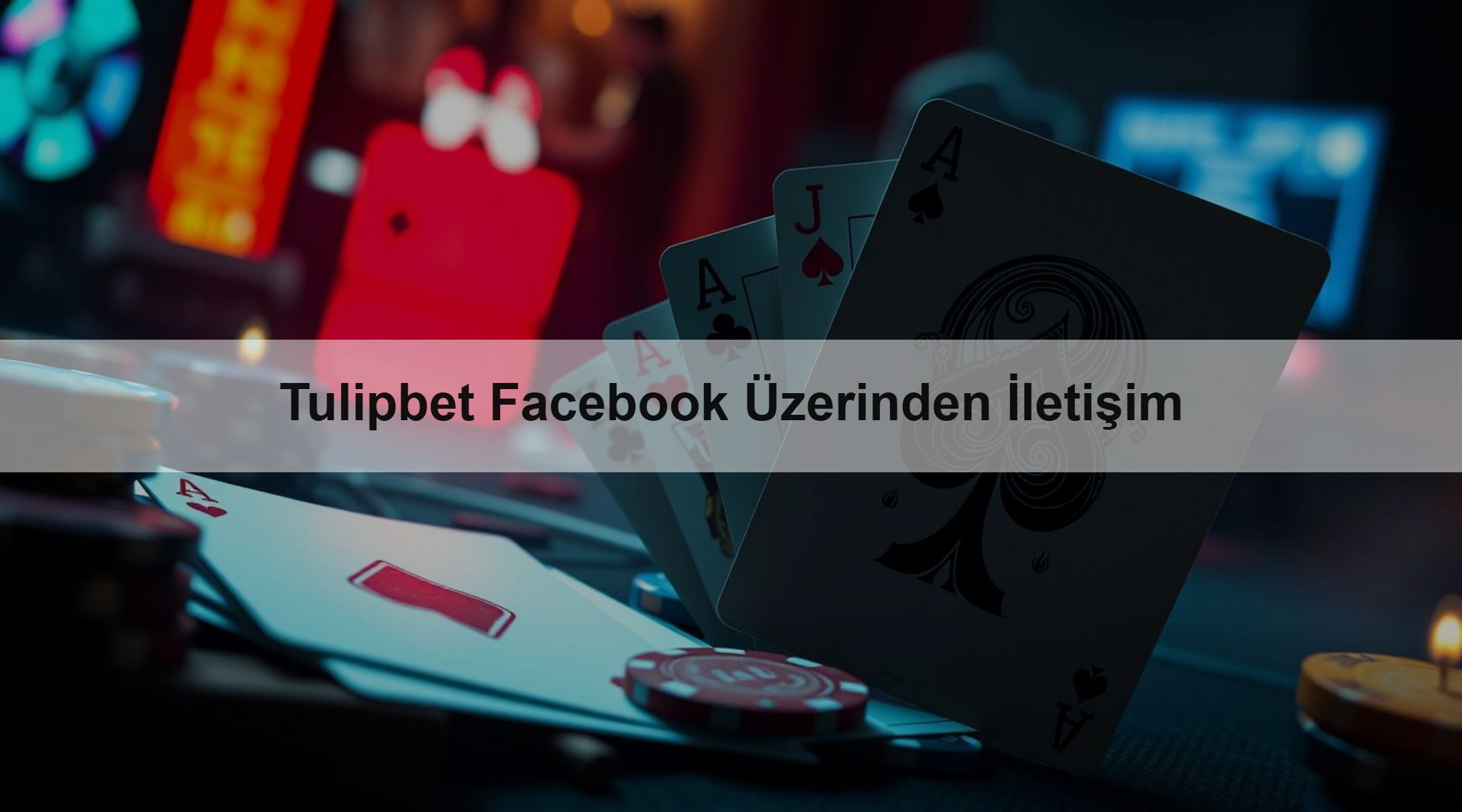 Tulipbet Facebook Üzerinden İletişim