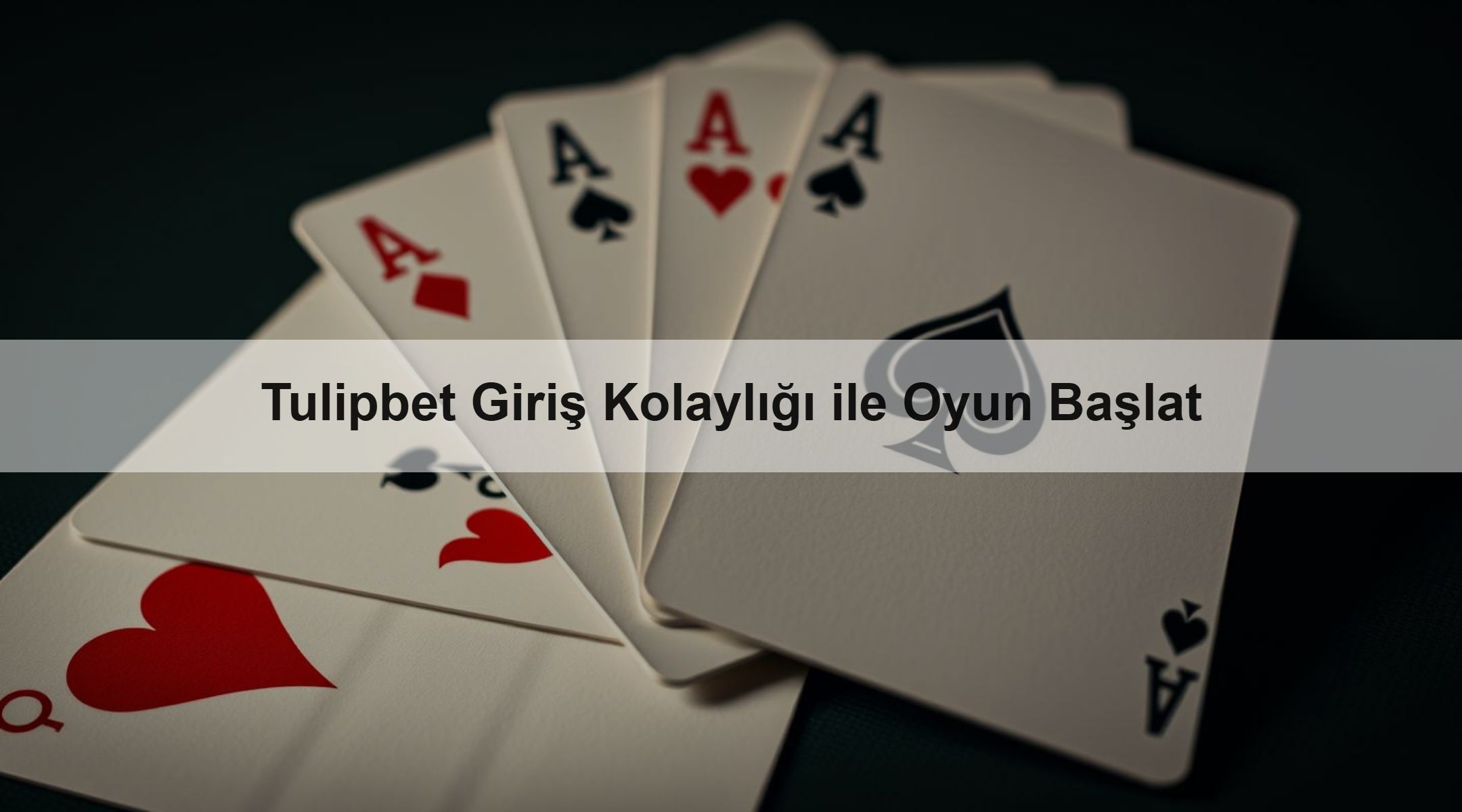 Tulipbet Giriş Kolaylığı ile Oyun Başlat