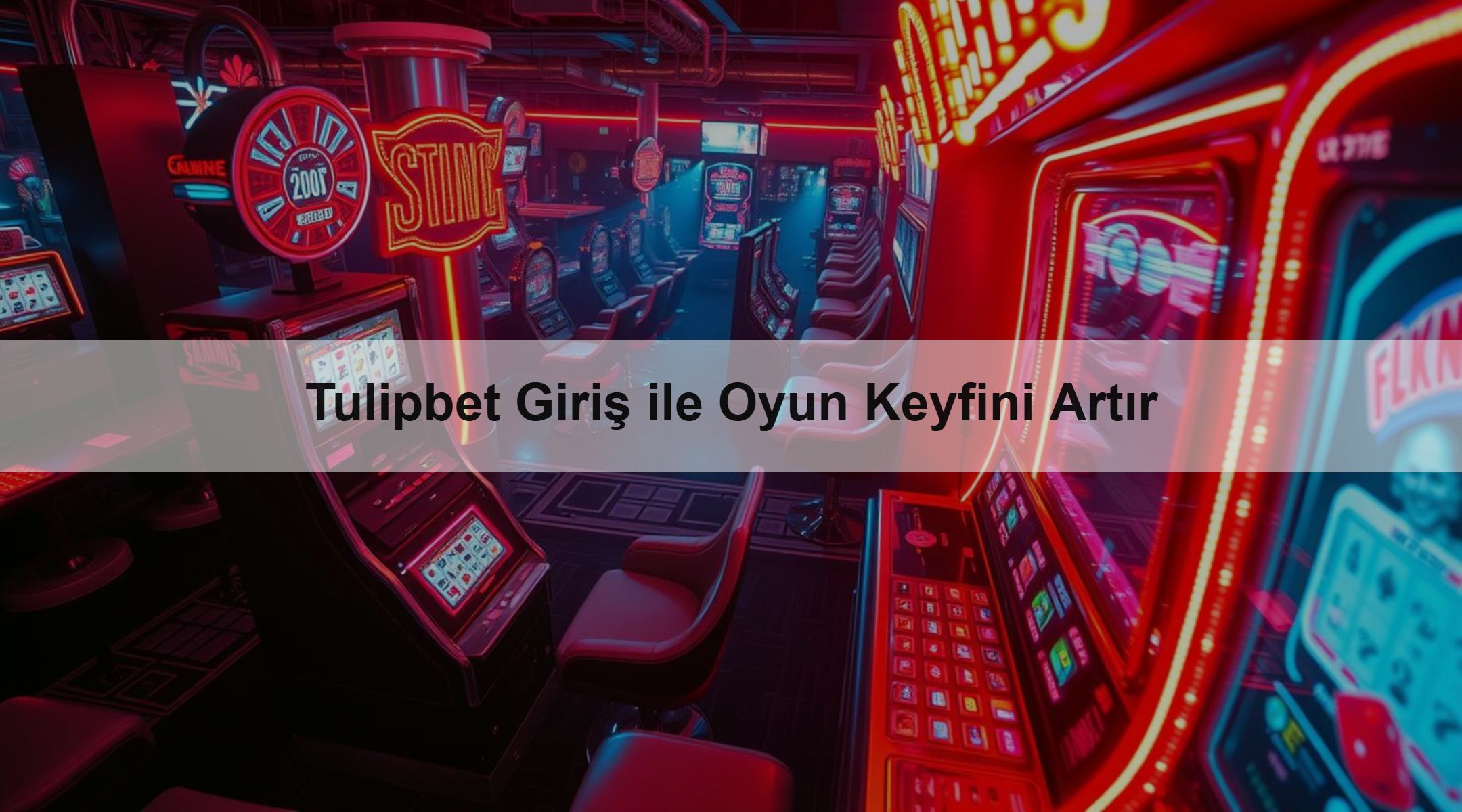 Tulipbet Giriş ile Oyun Keyfini Artır 1 Tulipbet Giriş ile Oyun Keyfini Artır